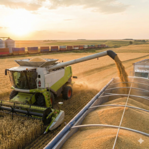 1. O Setor de Commodities: O gigante de minério e petróleo