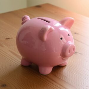 Como o Investidor Iniciante Deve se Proteger Diante dos Desafios Econômicos do Brasil