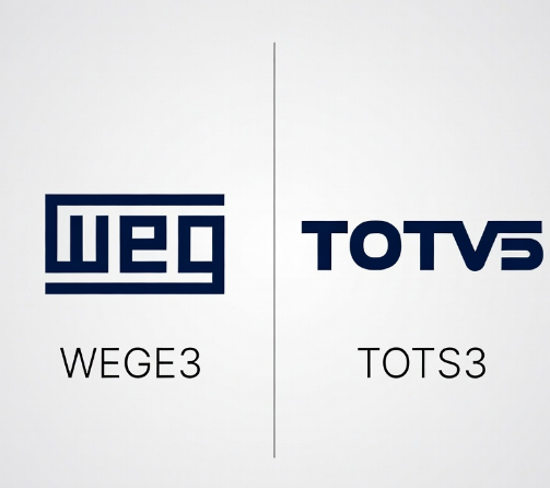 WEGE3 ou TOTS3: qual tem mais potencial?